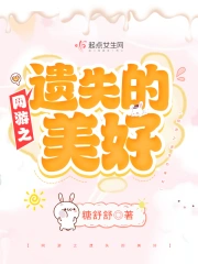 网游之遗失的美好